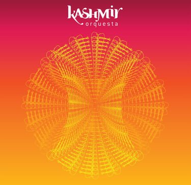 Tapa del disco Kashmir